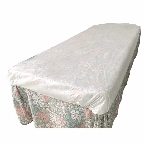 Biodegradable Non Woven Soft Salon Polypropylene Eco